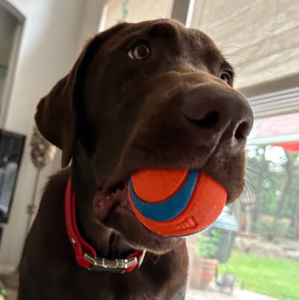 Meet your Posher, Sherry